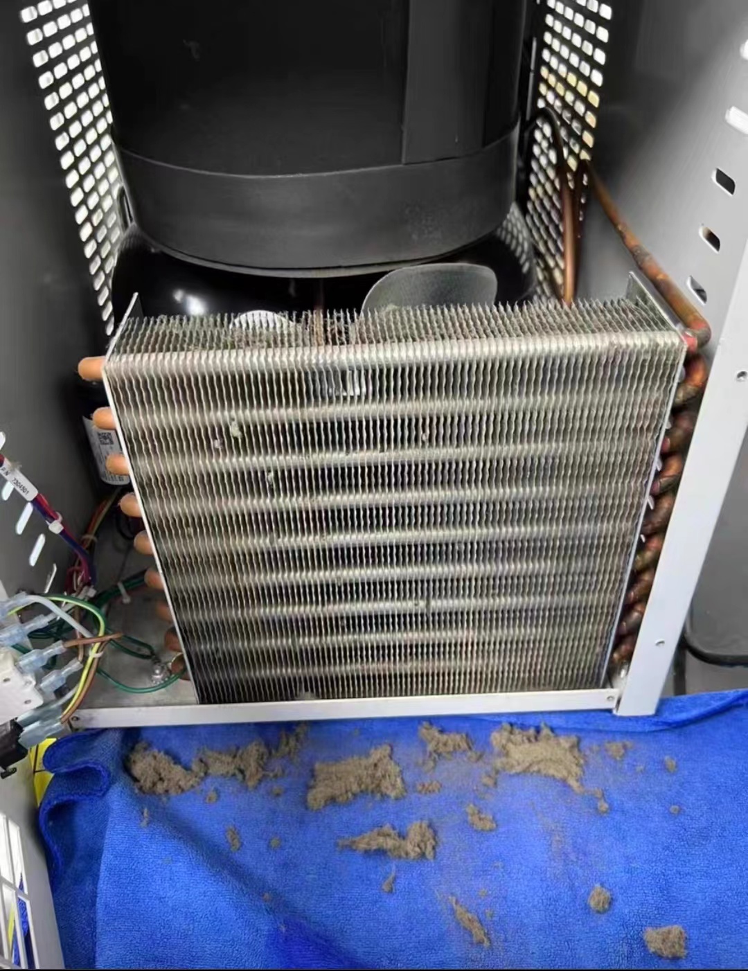 Labconco臺式凍干機壓縮機檢測